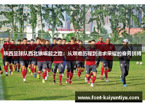 陕西足球队西北狼崛起之路：从艰难历程到追求荣耀的奋勇拼搏