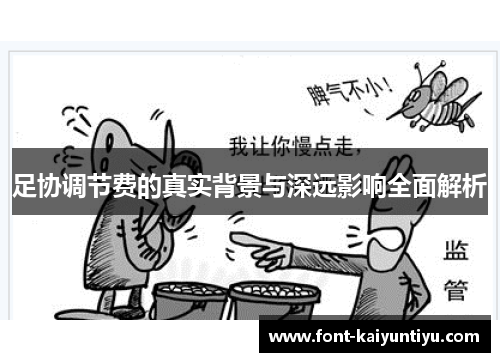足协调节费的真实背景与深远影响全面解析
