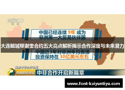 大连鲲城穆谢奎合约五大亮点解析揭示合作深度与未来潜力