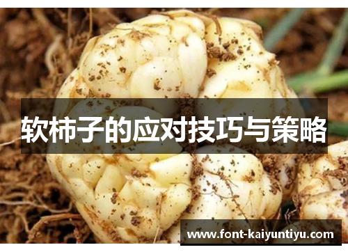 软柿子的应对技巧与策略