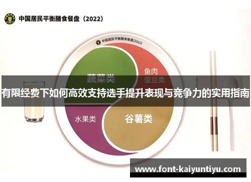 有限经费下如何高效支持选手提升表现与竞争力的实用指南