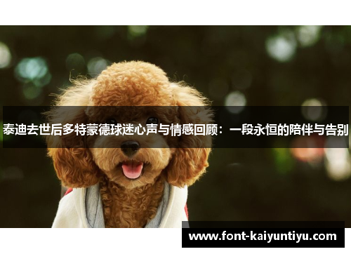 泰迪去世后多特蒙德球迷心声与情感回顾：一段永恒的陪伴与告别
